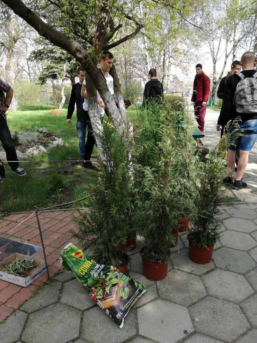 Снимка_9